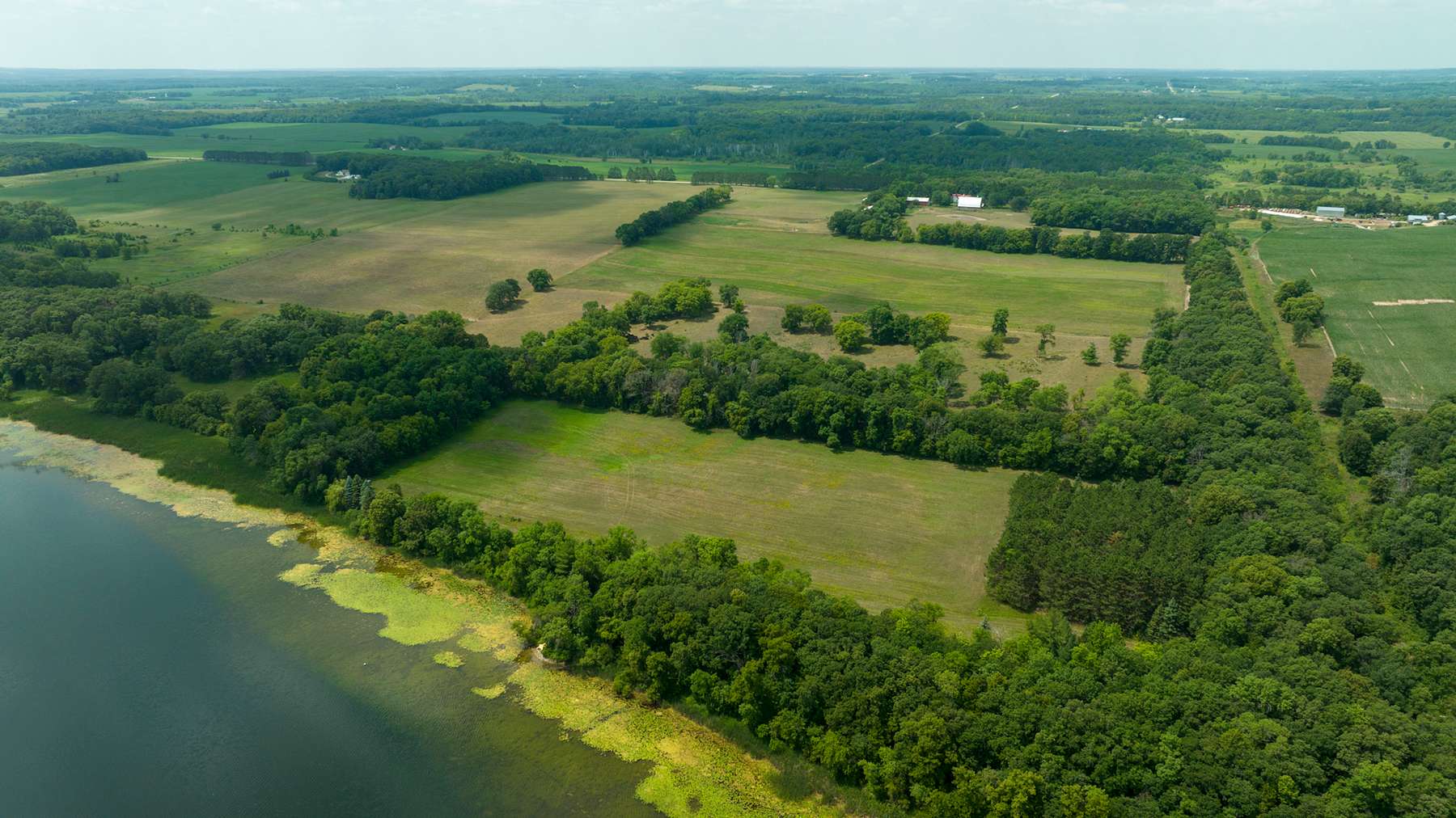 92.8 Acres of Land for Sale in Long Prairie, Minnesota