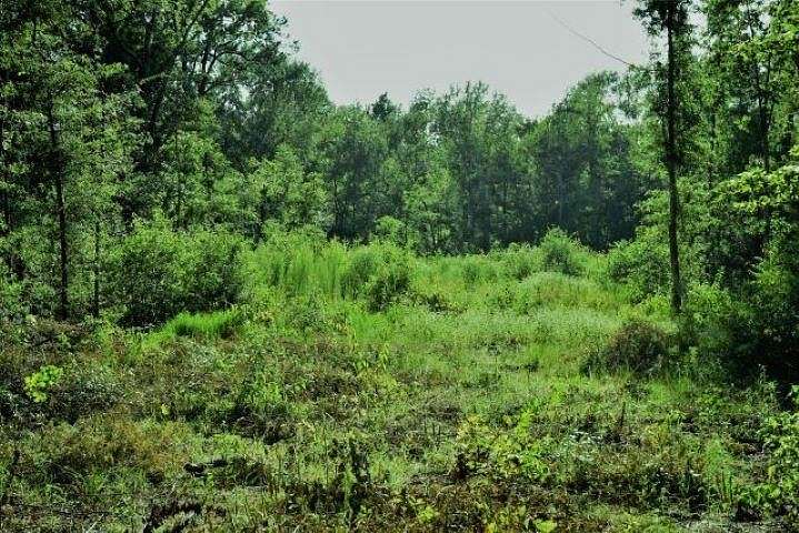 0.75 Acres of Residential Land for Sale in Kilgore, Texas