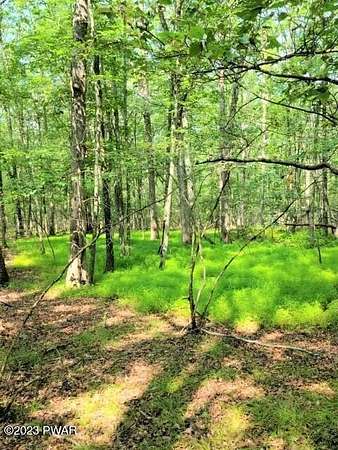 1 Acre of Residential Land for Sale in Hawley, Pennsylvania