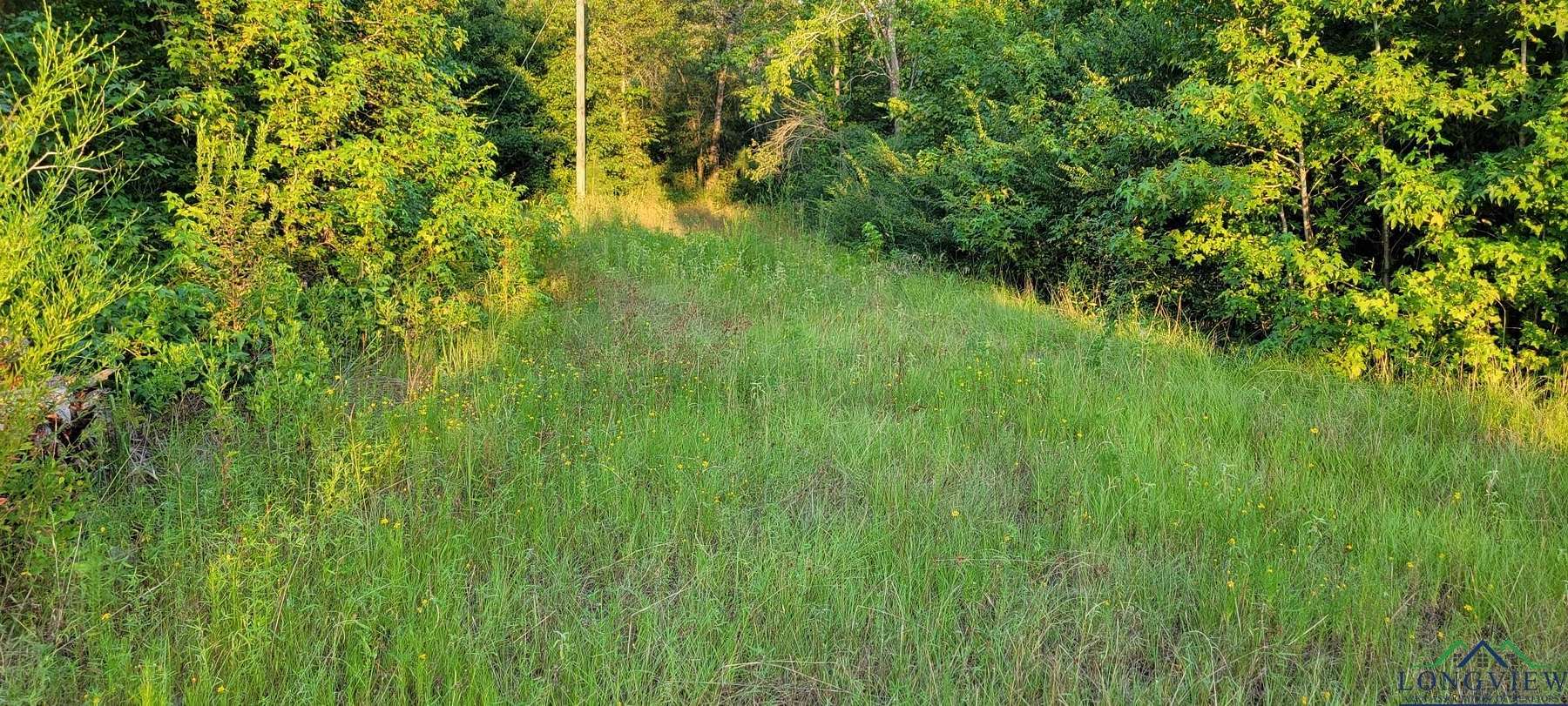 6.5 Acres of Land for Sale in Kilgore, Texas