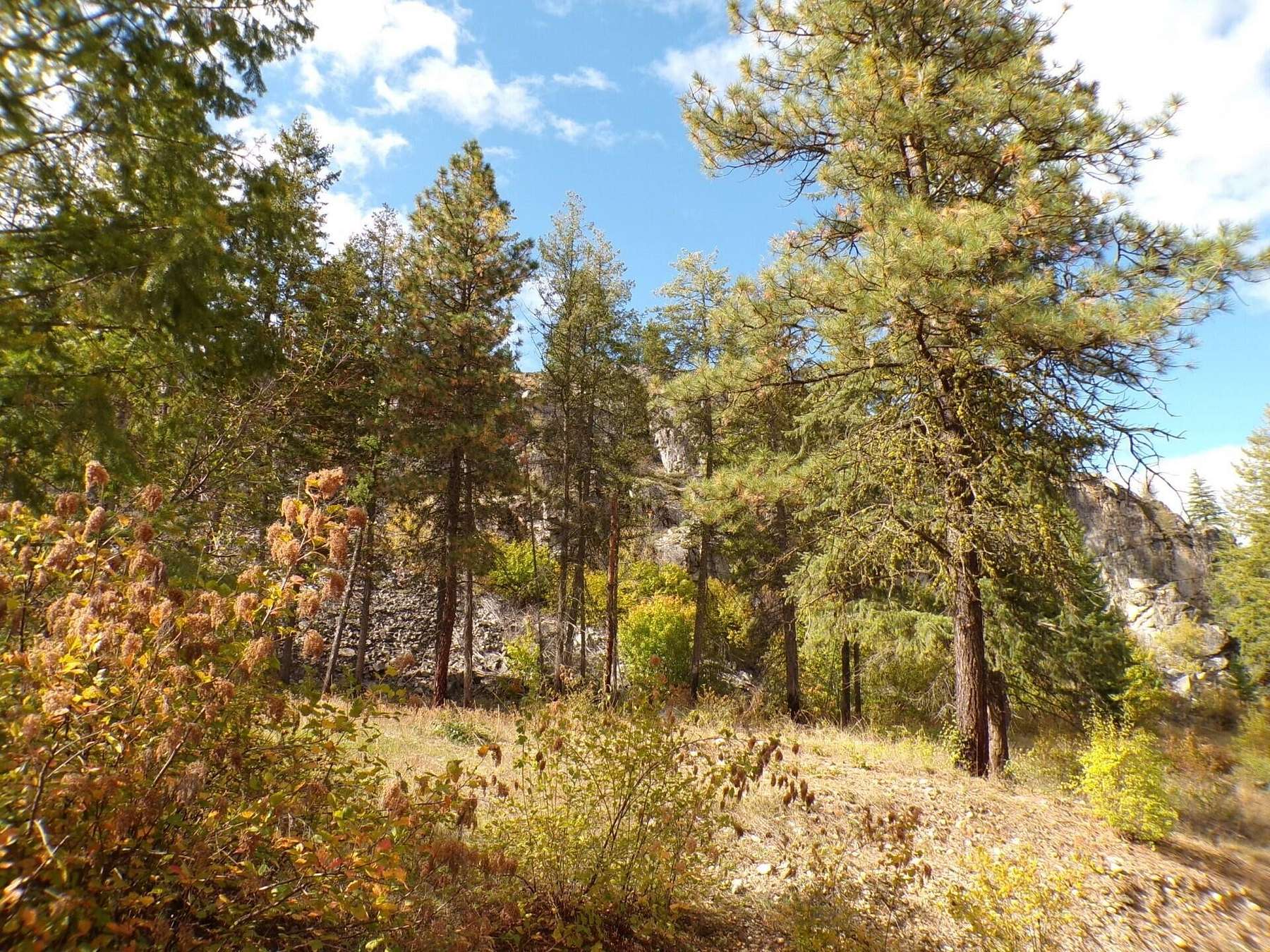 20.2 Acres of Land for Sale in Kettle Falls, Washington