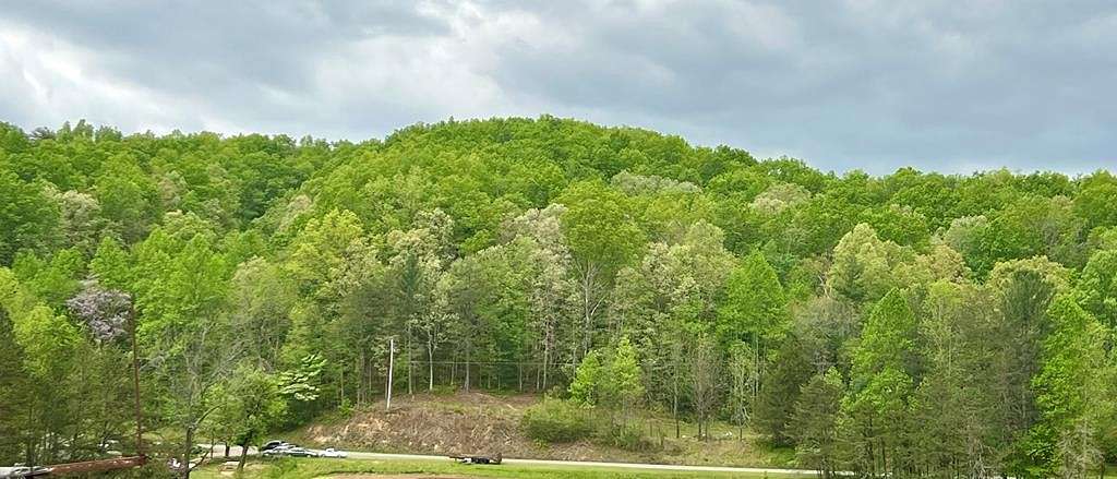 11.8 Acres of Land for Sale in Blue Ridge, Georgia