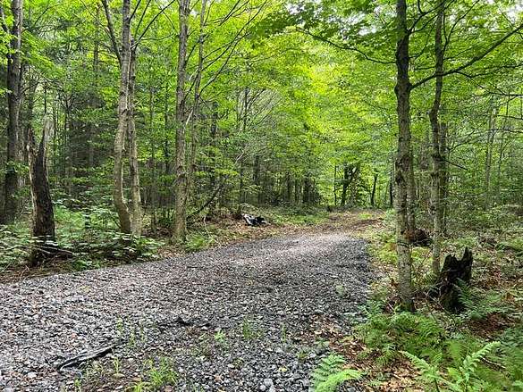 24 Acres of Recreational Land for Sale in Lorraine, New York