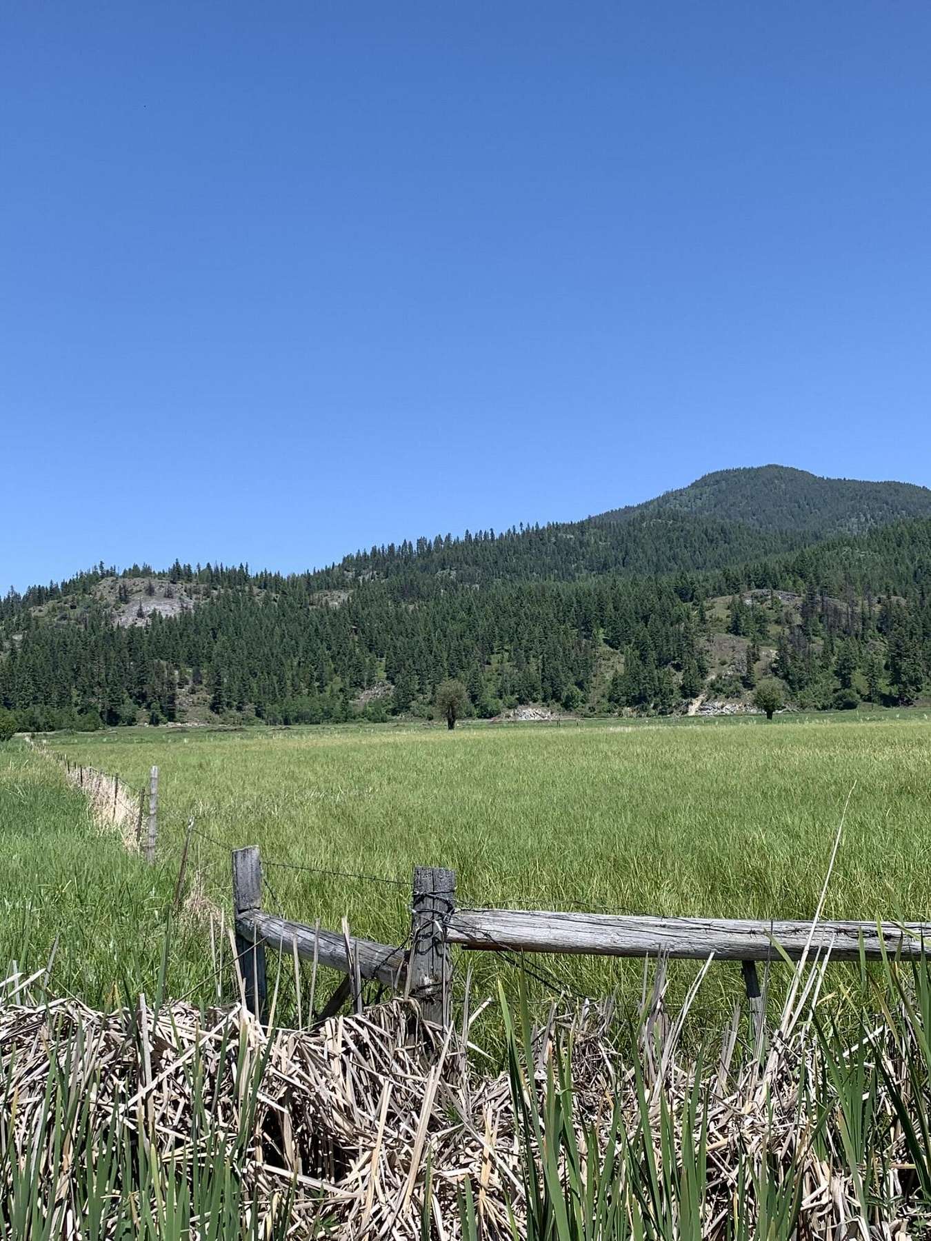 49 Acres of Agricultural Land for Sale in Colville, Washington