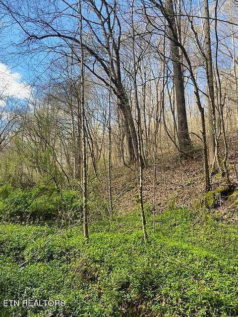 28 Acres of Recreational Land for Sale in Maynardville, Tennessee