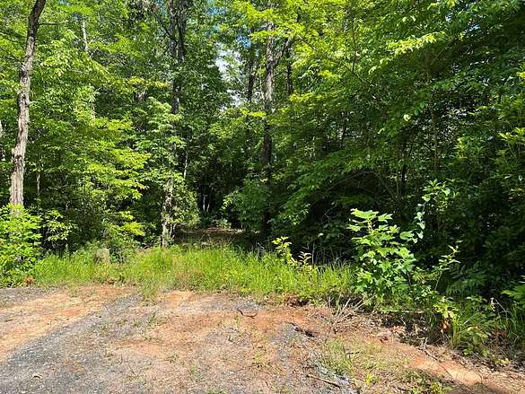 Land for Sale in Turtletown, Tennessee