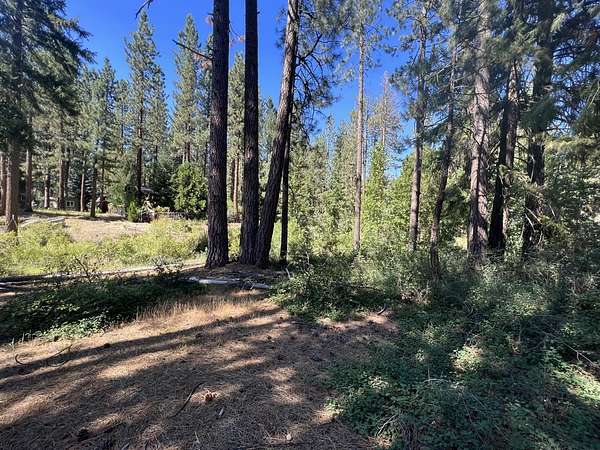 0.18 Acres of Residential Land for Sale in Blairsden, California
