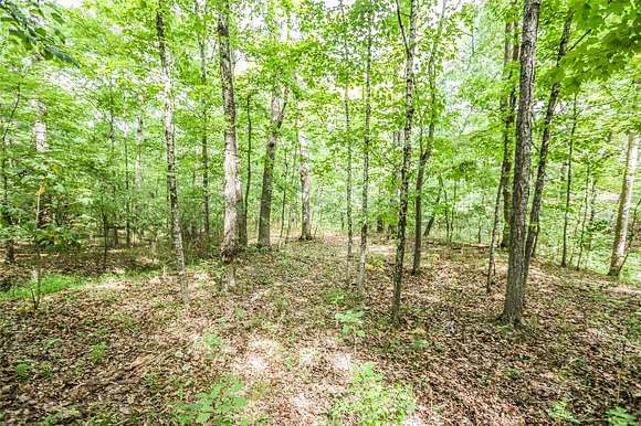 12.3 Acres of Land for Sale in Byrnes Mill, Missouri