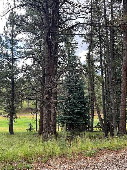 0.55 Acres of Residential Land for Sale in Angel Fire, New Mexico