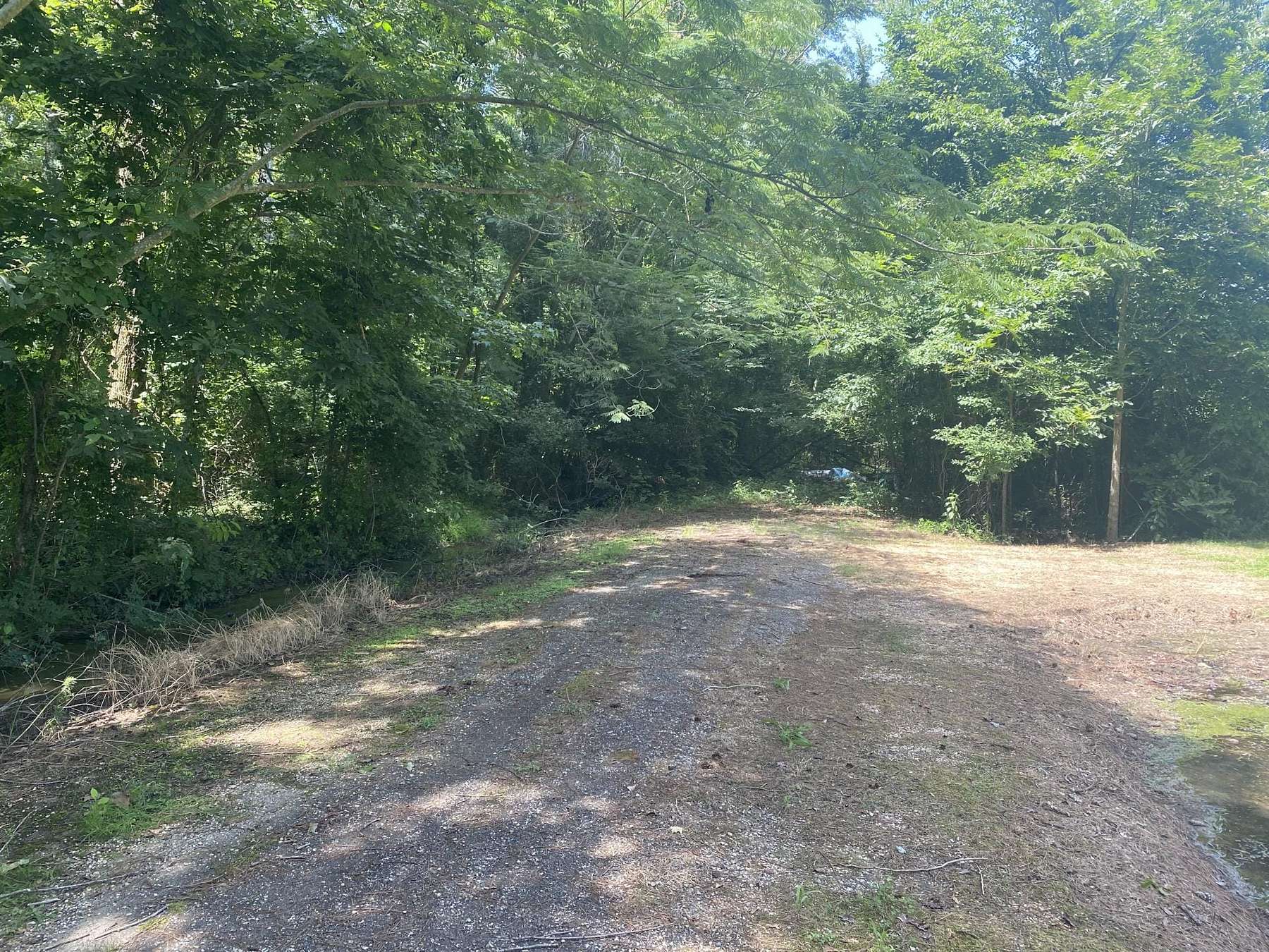 50 Acres of Recreational Land for Sale in Collinston, Louisiana
