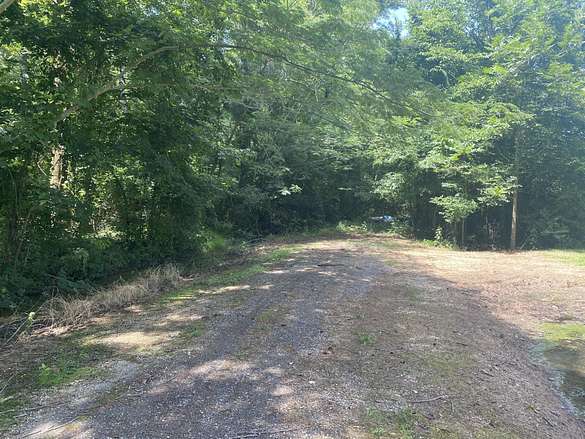 50 Acres of Recreational Land for Sale in Collinston, Louisiana