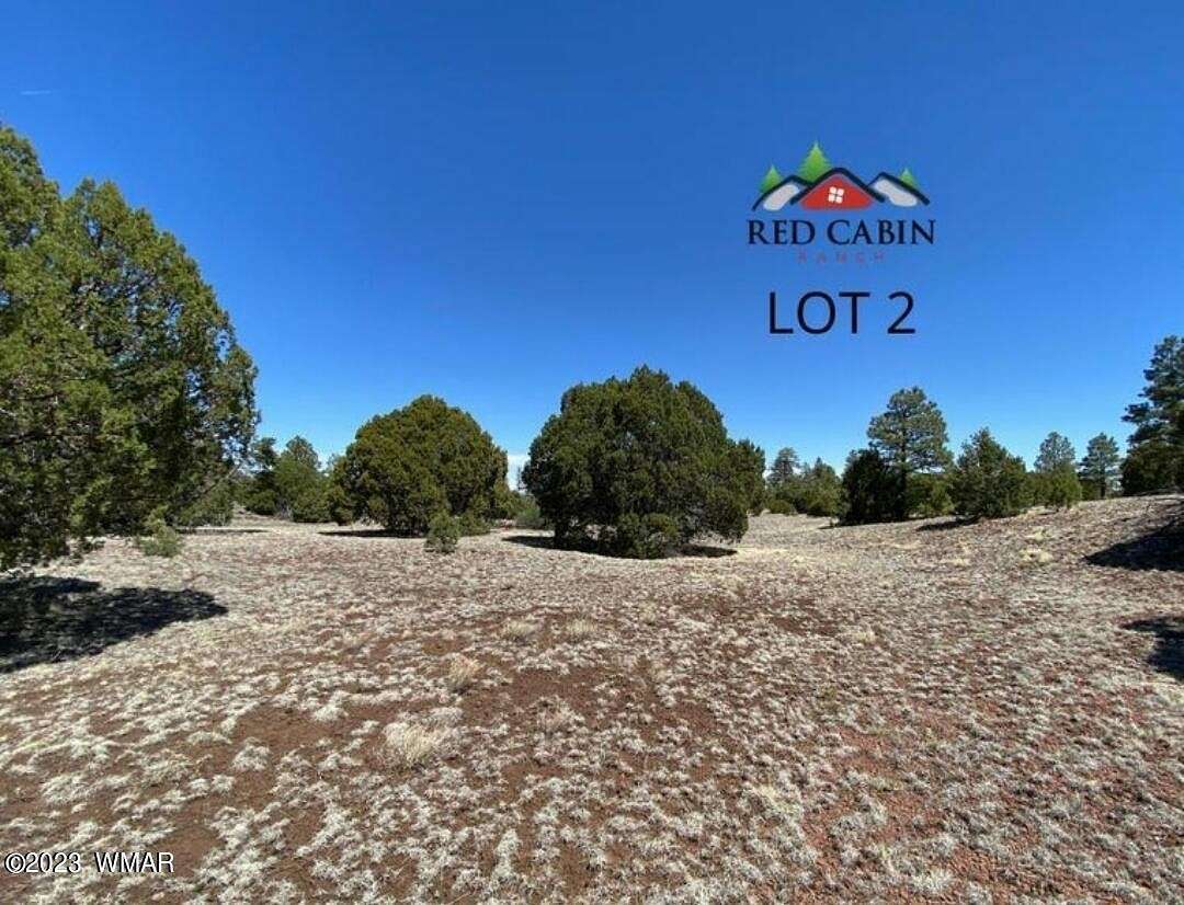 8.4 Acres of Residential Land for Sale in Vernon, Arizona