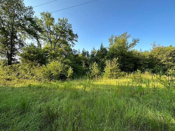 23.3 Acres of Land for Sale in Alto, Texas