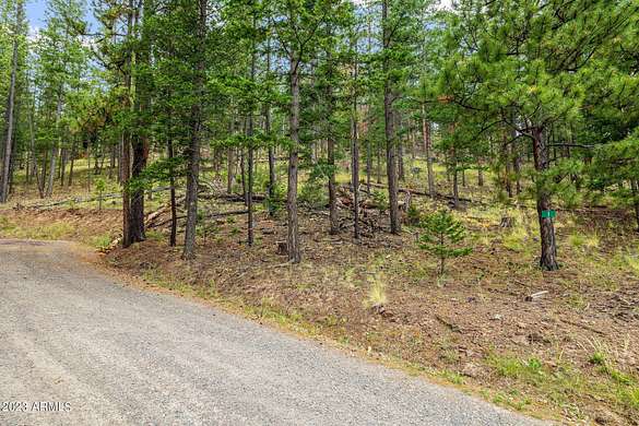 1.1 Acres of Residential Land for Sale in Greer, Arizona