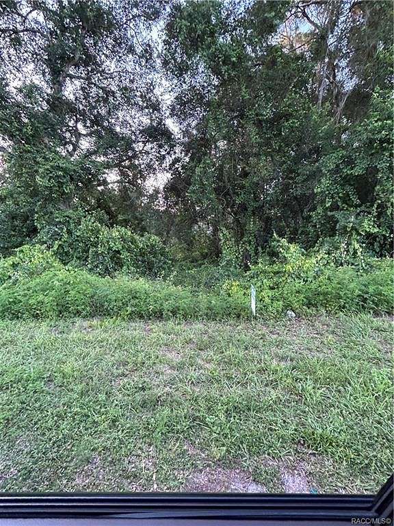 0.11 Acres of Residential Land for Sale in Floral City, Florida