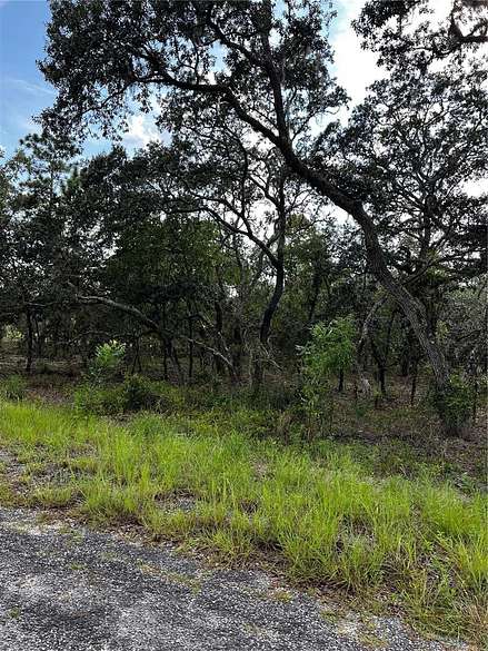 0.25 Acres of Residential Land for Sale in Dunnellon, Florida