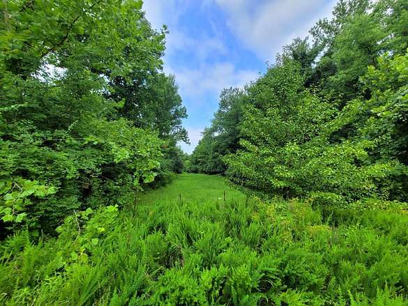 8.6 Acres of Residential Land for Sale in Monroe Township, Ohio