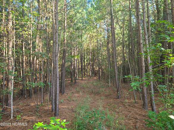 3 Acres of Residential Land for Sale in Belhaven, North Carolina
