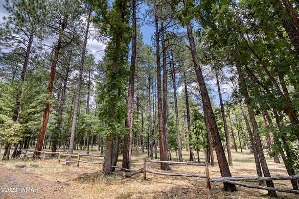 2.32 Acres of Residential Land for Sale in Alpine, Arizona