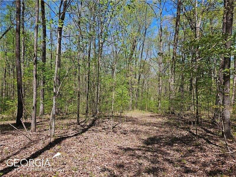 8.8 Acres of Land for Sale in Canton, Georgia