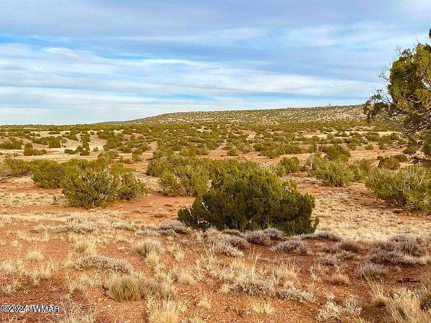 38.5 Acres of Land for Sale in Concho, Arizona