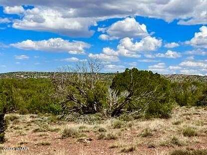 38.5 Acres of Land for Sale in Concho, Arizona