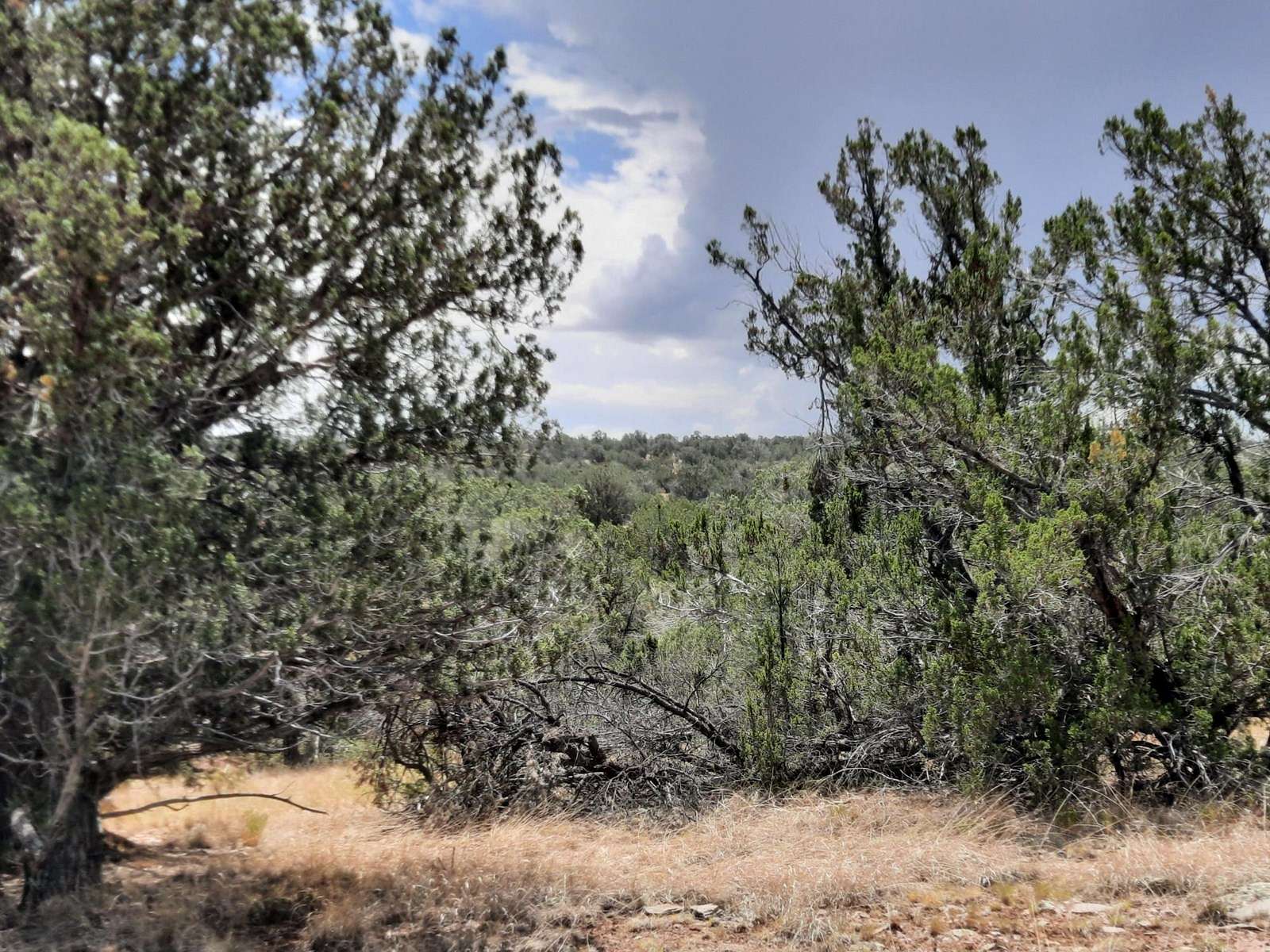 2.1 Acres of Recreational Land for Sale in Seligman, Arizona