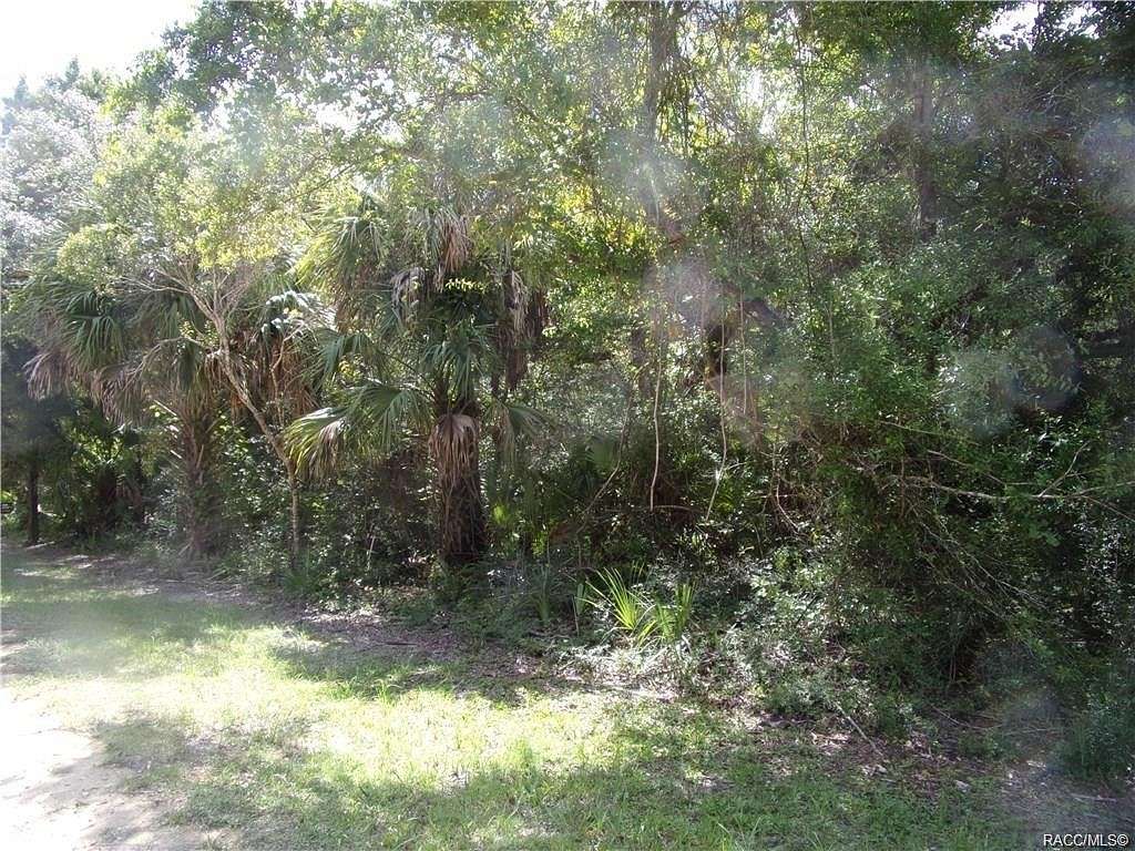 1.3 Acres of Residential Land for Sale in Inglis, Florida