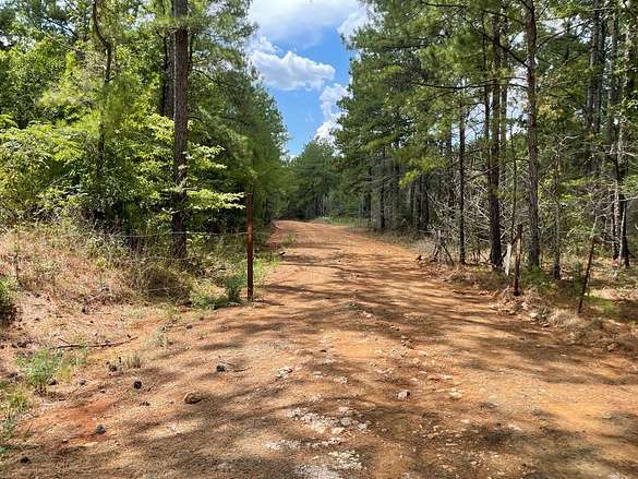 463 Acres of Land for Sale in Pineland, Texas