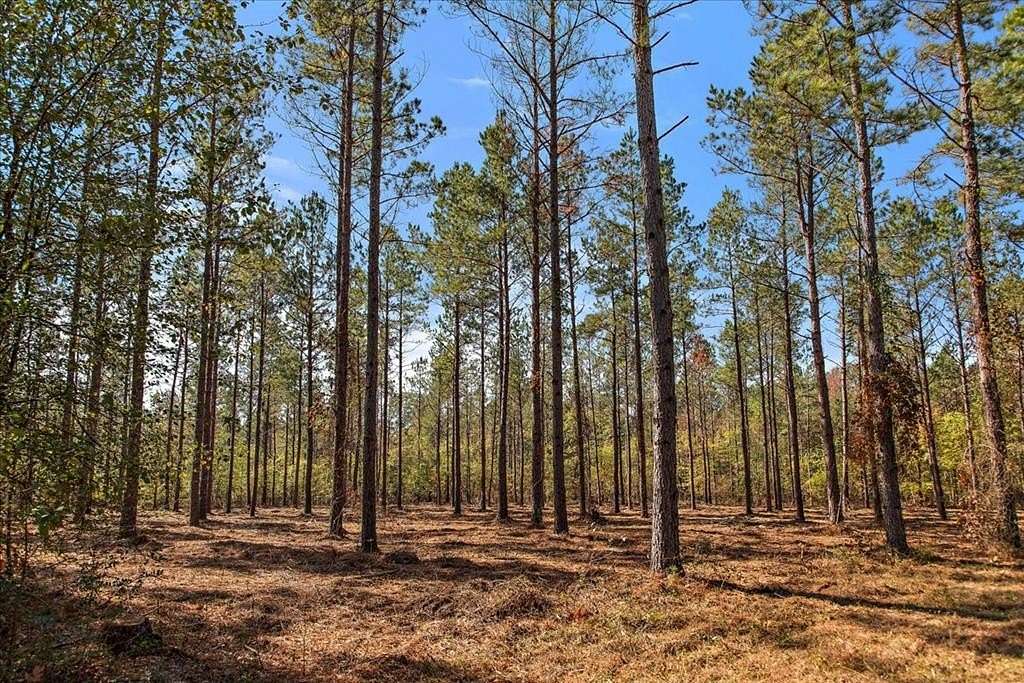 28 Acres of Recreational Land for Sale in Rusk, Texas