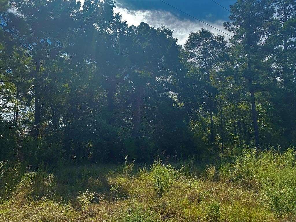 3 Acres of Commercial Land for Sale in Nacogdoches, Texas