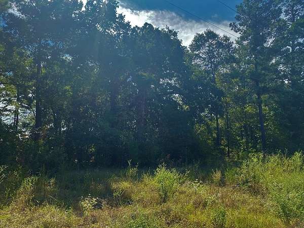 3 Acres of Commercial Land for Sale in Nacogdoches, Texas