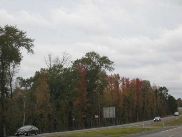 65 Acres of Land for Sale in Nacogdoches, Texas