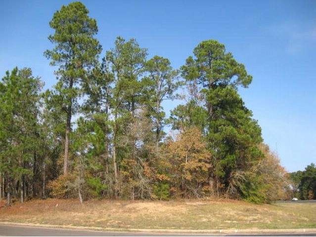 2.5 Acres of Commercial Land for Sale in Nacogdoches, Texas