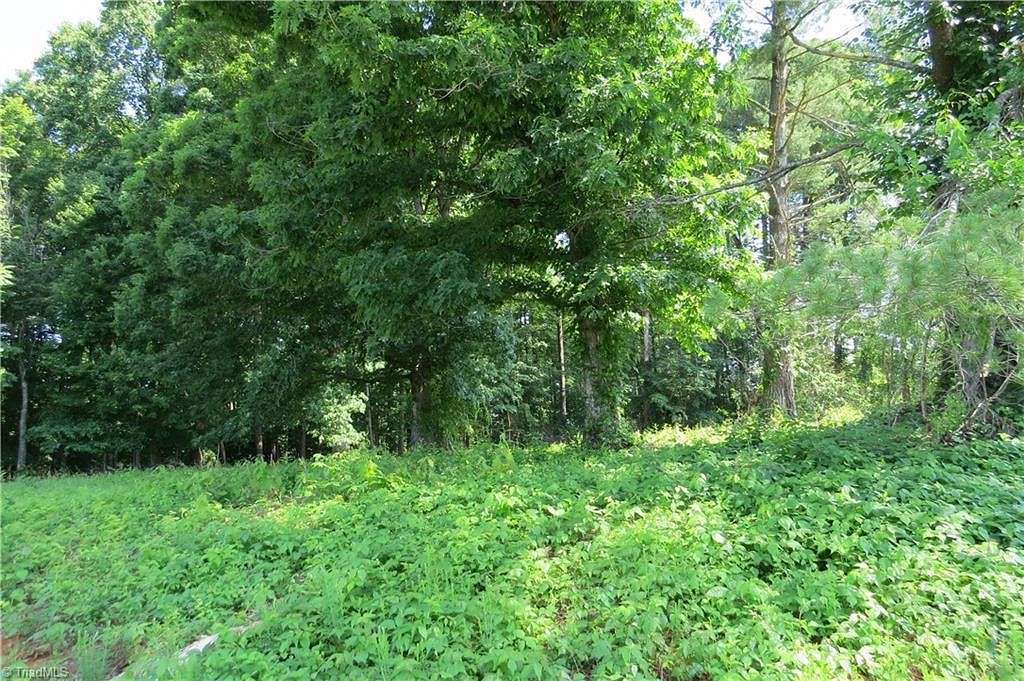 1 Acre of Residential Land for Sale in North Wilkesboro, North Carolina