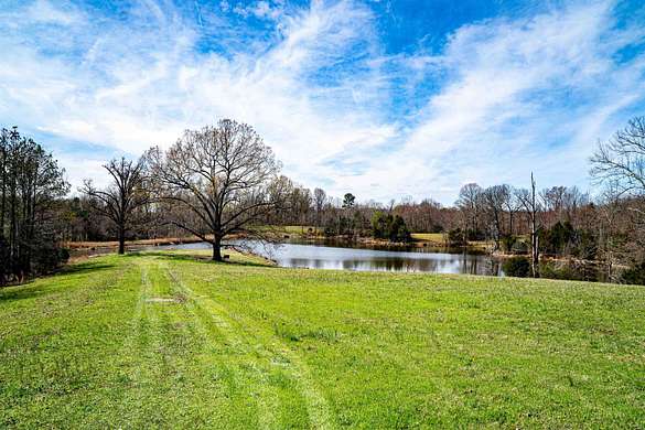 31.3 Acres of Land for Sale in Somerville, Tennessee