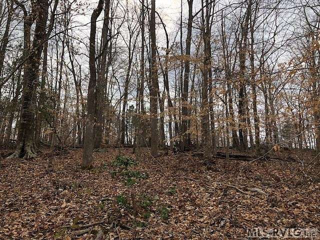 2.1 Acres of Residential Land for Sale in Ebony, Virginia