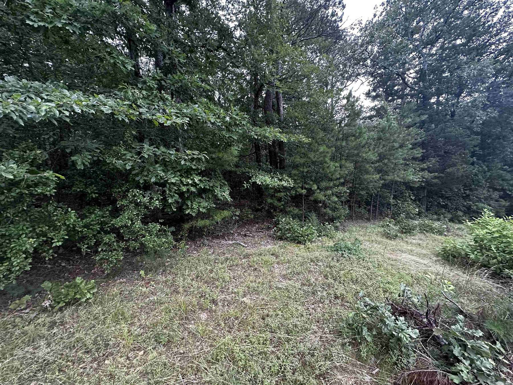 0.57 Acres of Residential Land for Sale in Shirley, Arkansas