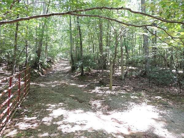 27.4 Acres of Recreational Land for Sale in Independence, Virginia