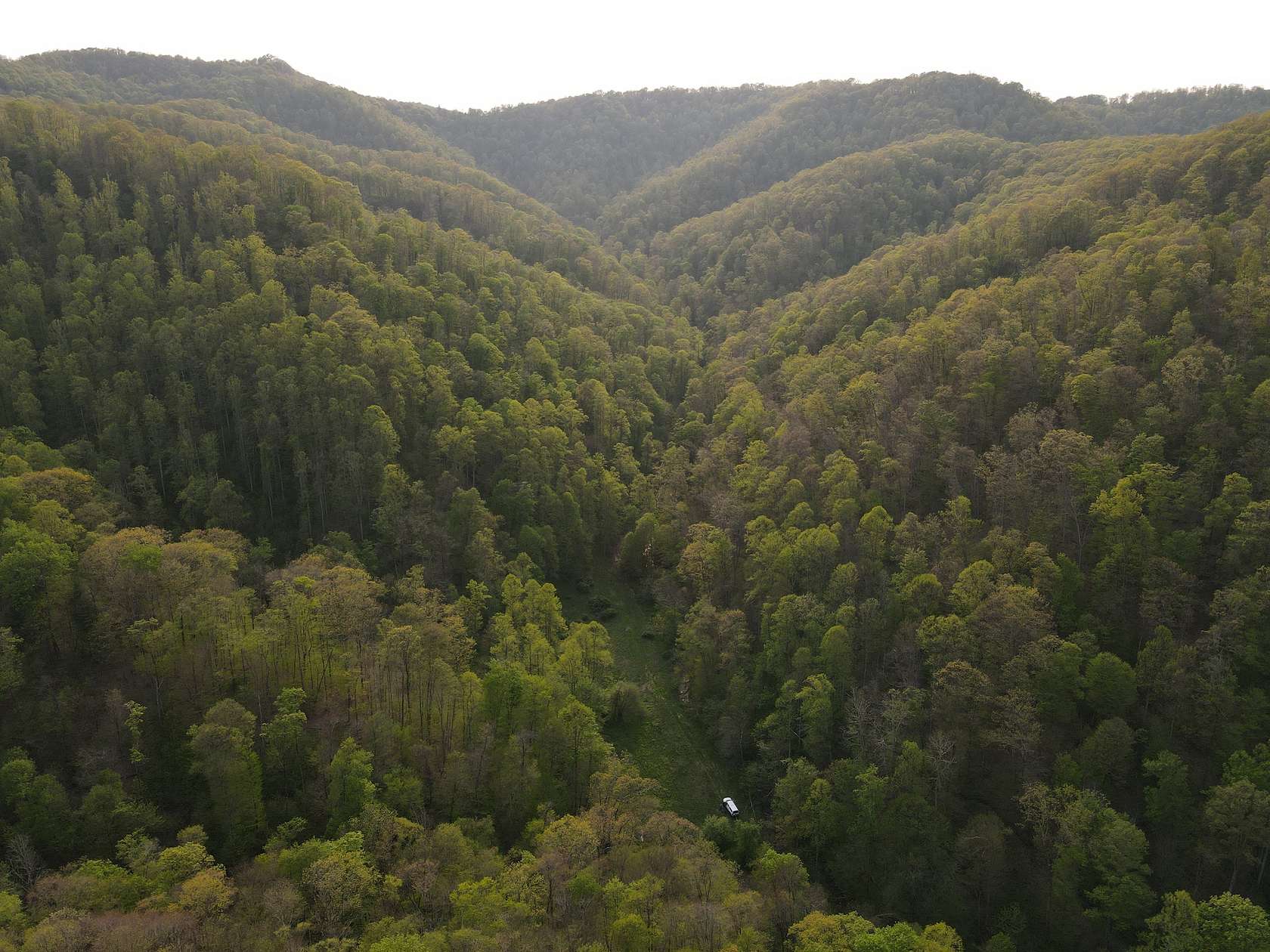 152 Acres of Recreational Land for Sale in Parsons, West Virginia