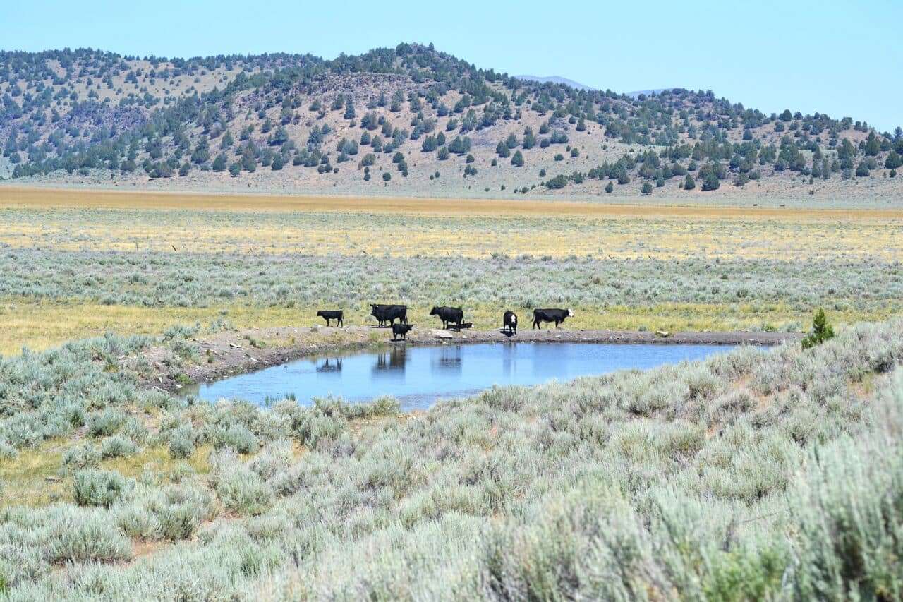 950 Acres of Land with Home for Sale in Termo, California