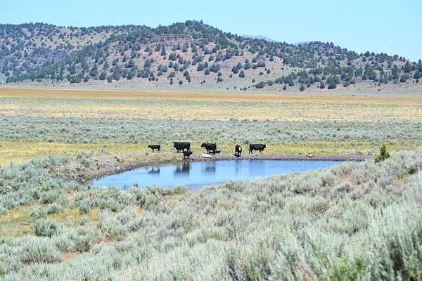 950 Acres of Land with Home for Sale in Termo, California