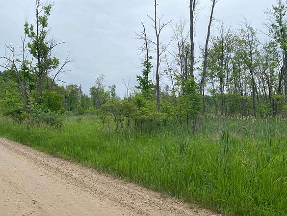 1.5 Acres of Residential Land for Sale in Lakeview, Michigan