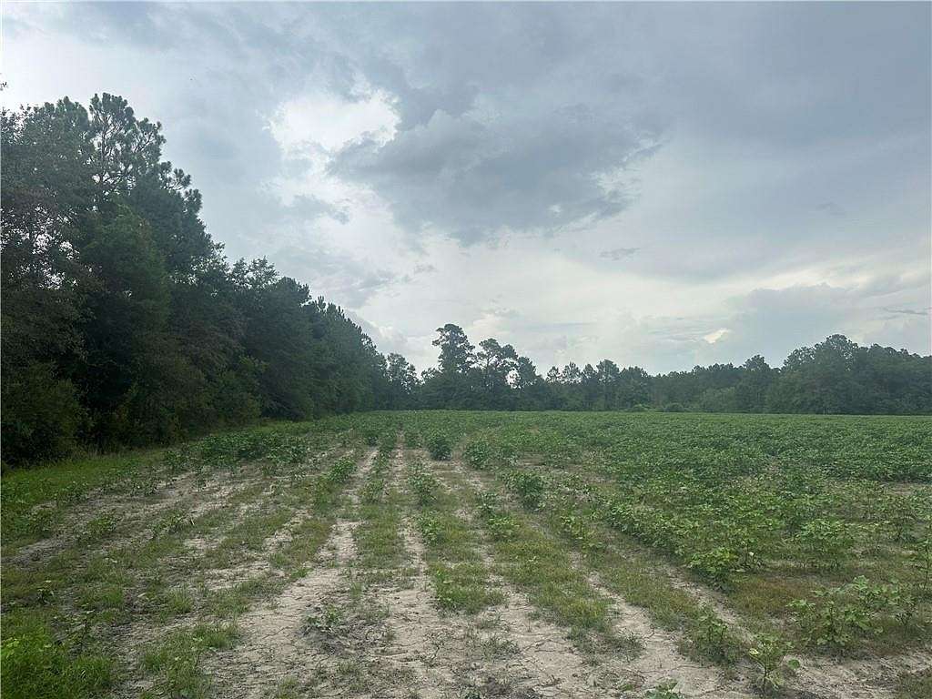 60 Acres of Agricultural Land for Sale in Waycross, Georgia