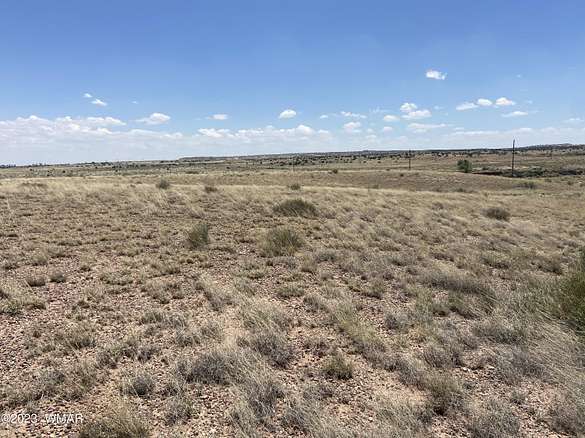 1.2 Acres of Residential Land for Sale in St. Johns, Arizona