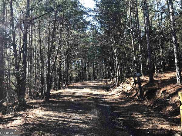868 Acres of Recreational Land for Sale in Ranger, Georgia