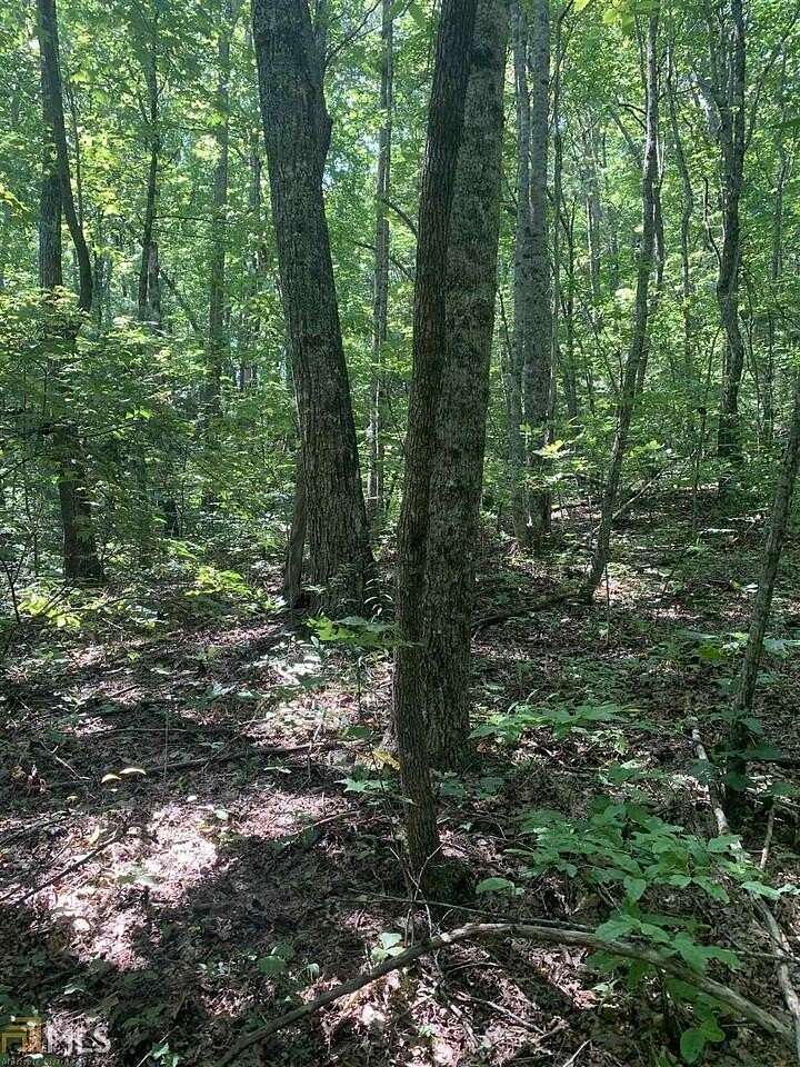 0.37 Acres of Land for Sale in Sky Valley, Georgia
