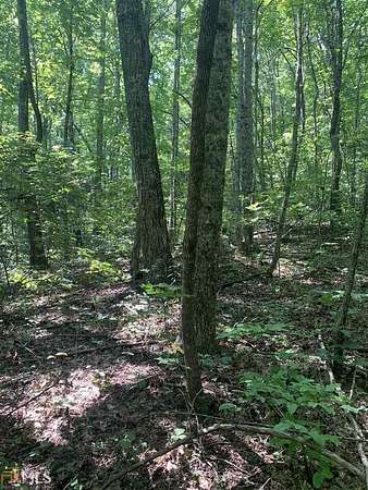 0.37 Acres of Land for Sale in Sky Valley, Georgia