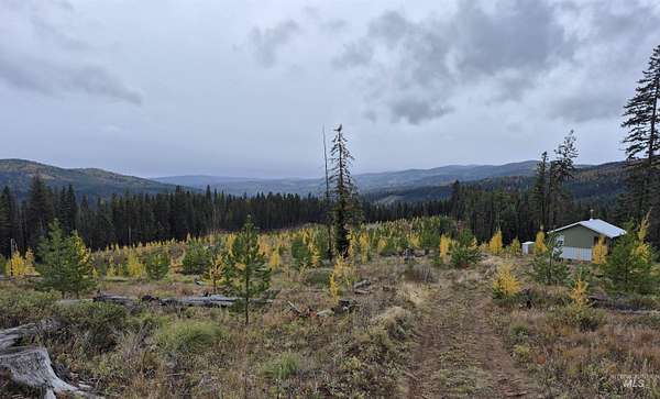 10.4 Acres of Improved Recreational Land for Sale in Elk City, Idaho