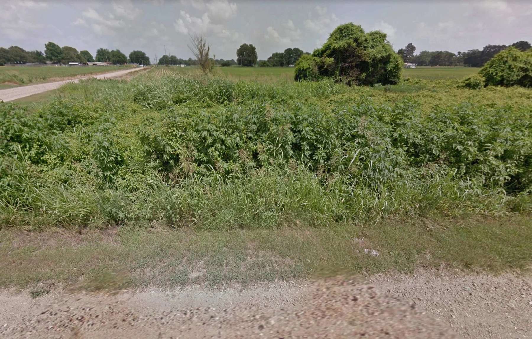 2.7 Acres of Residential Land for Sale in Drew, Mississippi LandSearch